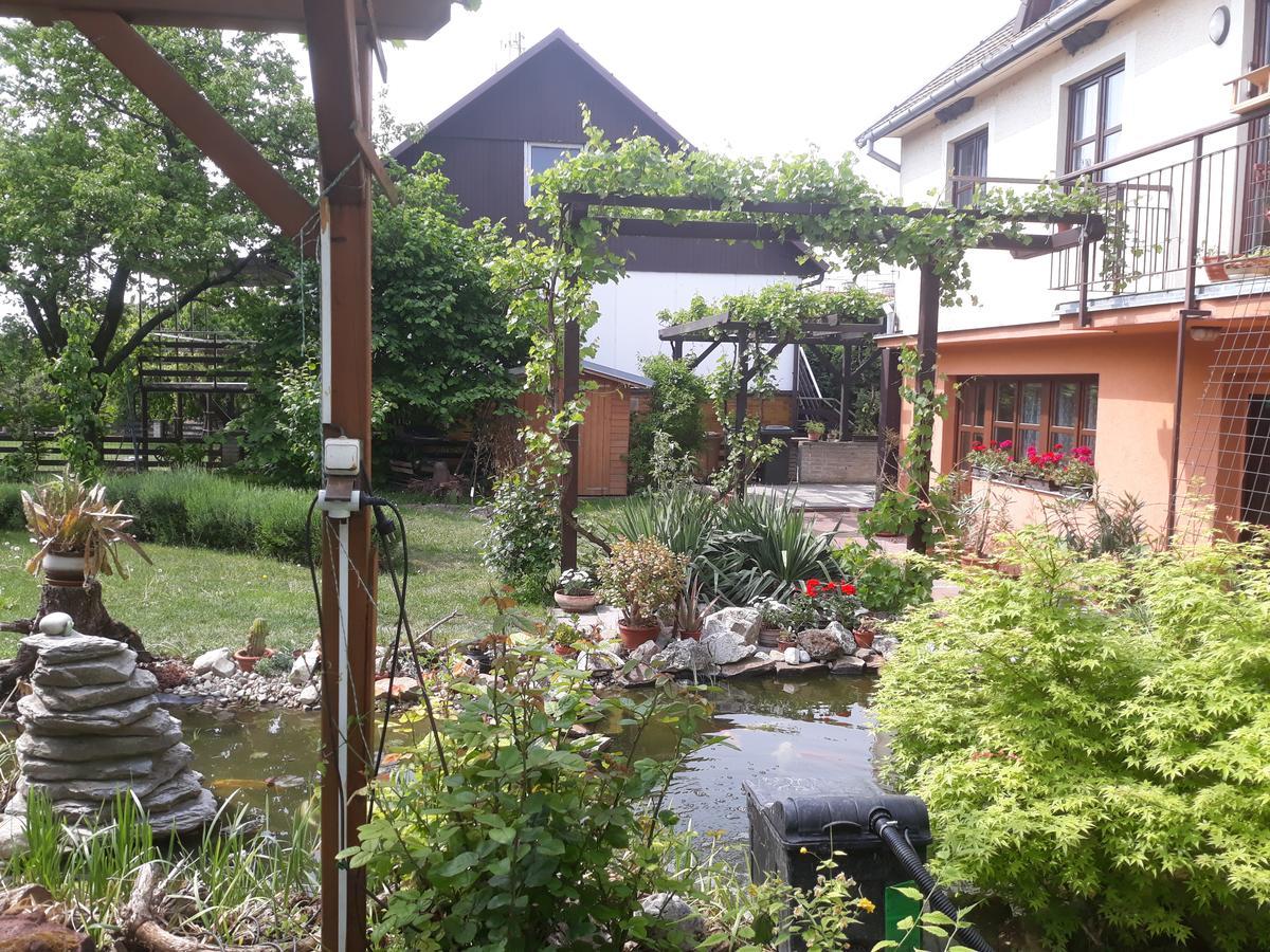 Pension Zeleny Strom Mikulov Exterior foto